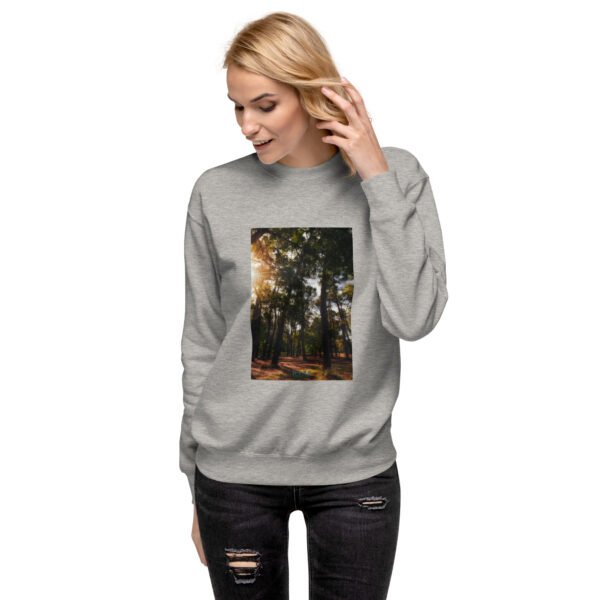 Unisex premium sweatshirt carbon grey front 6814885fe5fcd.jpg