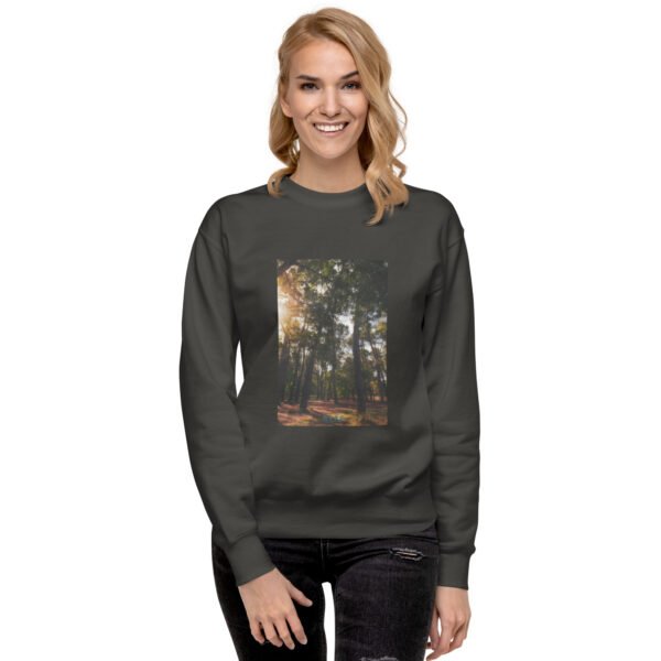 Unisex premium sweatshirt vintage black front 2 6814885fcac5f.jpg